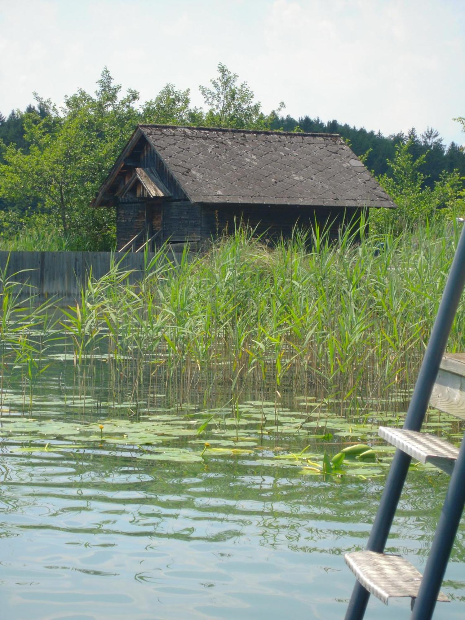 Seehotel Ressmann Drobollach am Faakersee Bagian luar foto